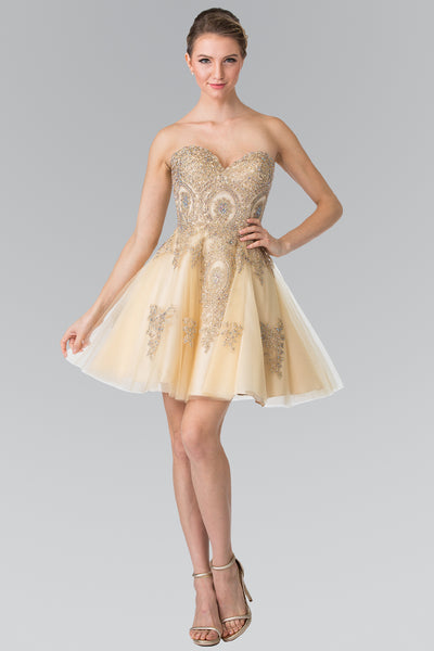 Tulle Short Dress for Homecoming