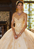 Floral Lace Quinceañera Dress with Three-Dimensional Appliqués