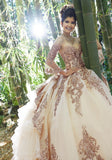 Rhinestone and Crystal Beaded Trim on a Patterned Sequin Tulle Ballgown
