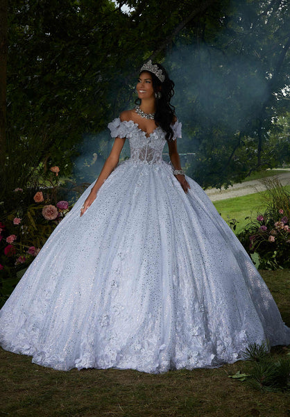 Foil Printed Tulle Quinceañera Dress with Three-Dimensional Florals