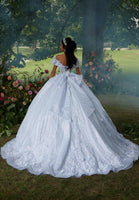 Foil Printed Tulle Quinceañera Dress with Three-Dimensional Florals