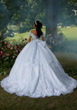 Foil Printed Tulle Quinceañera Dress with Three-Dimensional Florals