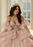 Three-Dimensional Floral Metallic Embroidered Quinceañera Dress with Waterfall Back Skirt