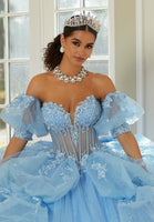 Three-Dimensional Floral Metallic Embroidered Quinceañera Dress with Waterfall Back Skirt