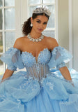 Three-Dimensional Floral Metallic Embroidered Quinceañera Dress with Waterfall Back Skirt