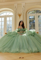 Three-Dimensional Floral Metallic Embroidered Quinceañera Dress with Waterfall Back Skirt