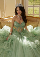 Three-Dimensional Floral Metallic Embroidered Quinceañera Dress with Waterfall Back Skirt