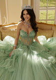 Three-Dimensional Floral Metallic Embroidered Quinceañera Dress with Waterfall Back Skirt