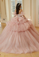 Three-Dimensional Floral Metallic Embroidered Quinceañera Dress with Waterfall Back Skirt