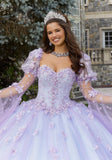 Glitter Tulle Quinceañera Dress with Three-Dimensional Floral Appliqués
