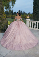 Three-Dimensional Glitter Embroidered Quinceañera Dress