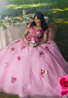 Crystal Beaded Floral Lace Quinceañera Dress