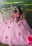 Crystal Beaded Floral Lace Quinceañera Dress