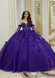 Sparkle Tulle Quinceañera Dress with Three-Dimensional Floral Lace and Long Sleeves