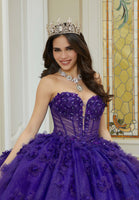Sparkle Tulle Quinceañera Dress with Three-Dimensional Floral Lace and Long Sleeves