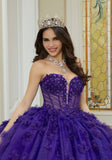 Sparkle Tulle Quinceañera Dress with Three-Dimensional Floral Lace and Long Sleeves