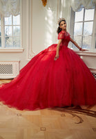 Sparkle Tulle Quinceañera Dress with Sheer Bodice and Three-Dimensional Florals