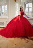 Sparkle Tulle Quinceañera Dress with Sheer Bodice and Three-Dimensional Florals