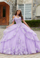 Metallic Embroidered Quinceañera Dress with Three-Dimensional Butterflies