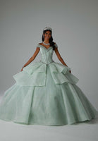 Textured Glitter Net Quinceañera Dress