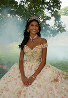 Floral Printed Quinceañera Dress with Three-Dimensional Flowers