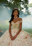 Floral Printed Quinceañera Dress with Three-Dimensional Flowers