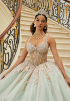 Three-Dimensional Embroidered Diamanté Beaded Quinceañera Dress with Sheer Bodice