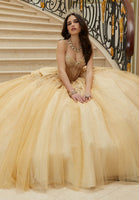 Three-Dimensional Embroidered Diamanté Beaded Quinceañera Dress with Sheer Bodice