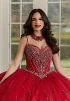 Patterned Glitter Net Quinceañera Dress with Jeweled Beading and Back Bow