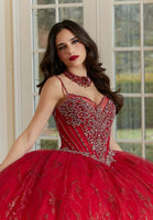 Patterned Glitter Net Quinceañera Dress with Jeweled Beading and Back Bow