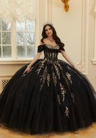 Crystal Beaded Contrasting Glitter Appliquéd Quinceañera Dress with Satin Cowl