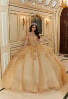 Diamanté and Crystal Beaded Metallic Lace Quinceañera Dress
