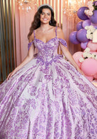 Floral Glitter Metallic Quinceañera Gown with Crumb Catcher Corset