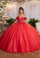 Draped Bodice Quinceañera Dress with Three Dimensional Flowers