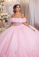 Sheer Corset Three Dimensional Floral Quinceañera Dress