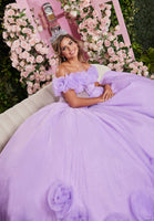 Sheer Corset Three Dimensional Floral Quinceañera Dress
