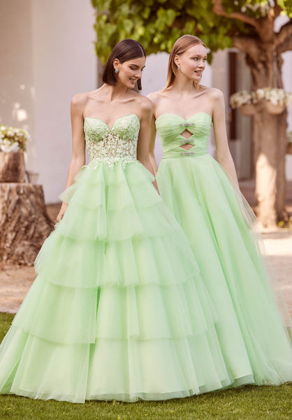 Beaded Embroidered Tiered Tulle Ball Gown