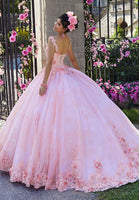 Crystal Beaded Floral Appliqué Quinceañera Dress
