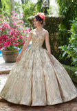 Larissa Satin and Metallic Lace Quinceañera Dress