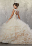 Beaded, Lace Appliqués on a Flounced Tulle Ballgown with Necklace Back Detail