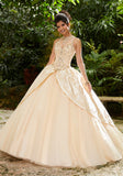 Rhinestone and Crystal Beaded, Metallic Embroidery on a Tulle Ballgown