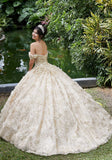 Floral and Sequin Patterned Quinceañera Dress
