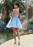 Tulle Party Dress with Crystal Beaded Lace Appliqués